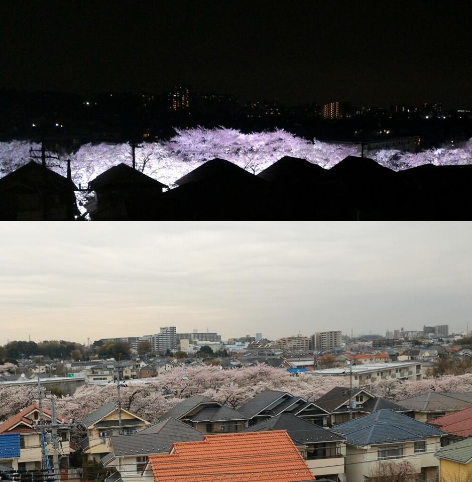 寮の屋上から夕刻と夜に野川を撮影