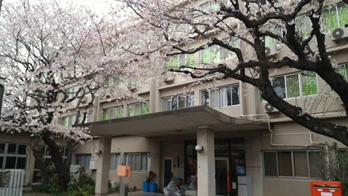 玄関の3本の桜も満開で新入寮生を迎えます。